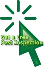 Get a free pest inspection.